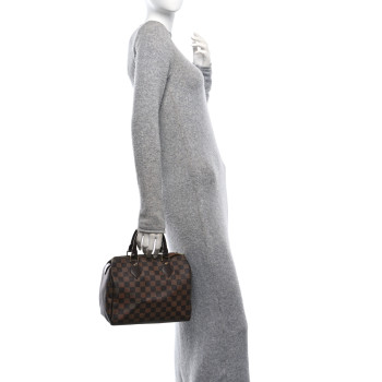 LOUIS VUITTON Damier Ebene Speedy 25