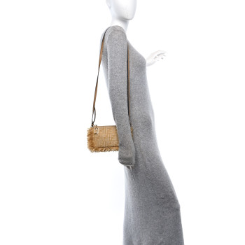 FENDI Jacquard Raffia Vitello FF Baguette Chain Pouch Beige