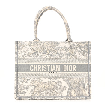 CHRISTIAN DIOR Canvas Embroidered Medium Dioriviera Toile De Jouy Book Tote Gray