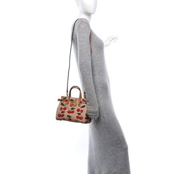 VALENTINO GARAVANI Jacquard Raffia Cherrfic Small Vlogo Antibes Shopping Bag Natural Red
