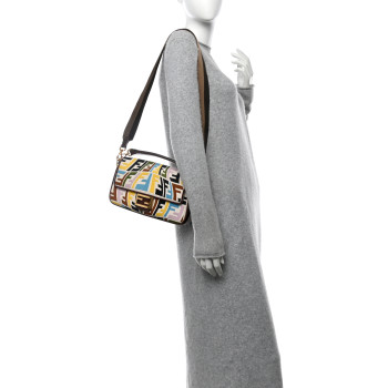FENDI X SARA COLEMAN Canvas Vitello King Seta FF Fish Eye Embroidered Baguette Grezzo Multicolor Ghianda