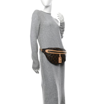 LOUIS VUITTON Monogram High Rise Bumbag