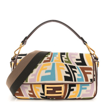 FENDI X SARA COLEMAN Canvas Vitello King Seta FF Fish Eye Embroidered Baguette Grezzo Multicolor Ghianda