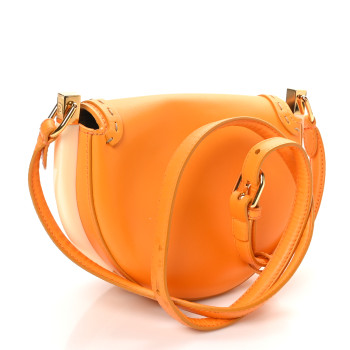 FENDI Vitello King Plexiglass Moonlight Shoulder Bag Clementine