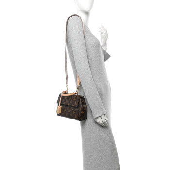 LOUIS VUITTON Monogram Mini Cluny