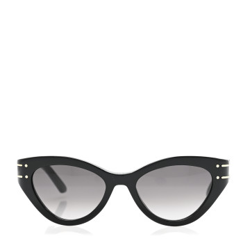 CHRISTIAN DIOR Diorsignature B7I Butterfly Sunglasses Black