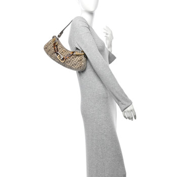 FENDI Chenille Vitello King Plexiglass FF O'Lock Swing Tortora Nuvola
