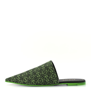 LOEWE Jacquard Anagram Calfskin Pointy Mule Sandals 40 Apple Green