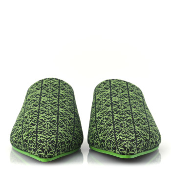 LOEWE Jacquard Anagram Calfskin Pointy Mule Sandals 40 Apple Green