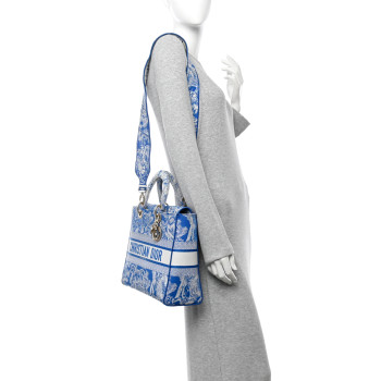 CHRISTIAN DIOR Toile de Jouy Embroidered Large Lady D-Lite Fluorescent Blue