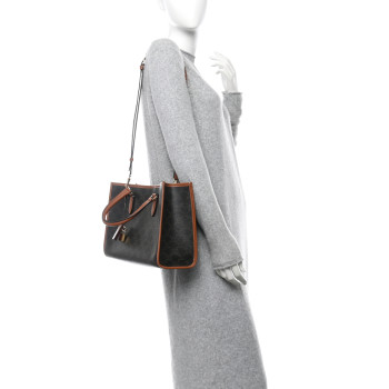 CELINE Triomphe Canvas Calfskin Mini Horizontal Cabas Tan