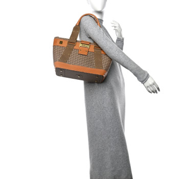 CHRISTIAN DIOR Monogram Street Chic Shopper Tote Beige