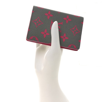 LOUIS VUITTON Taigarama Pocket Organizer NM Grey Pink