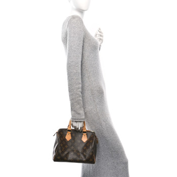 LOUIS VUITTON Monogram Speedy 25
