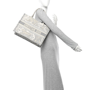 CHRISTIAN DIOR Canvas Embroidered Medium Dioriviera Toile De Jouy Book Tote Gray