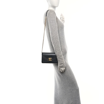 CELINE Shiny Calfskin Triomphe Margo Wallet on Chain Black