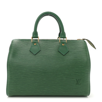 LOUIS VUITTON Epi Speedy 25 Borneo