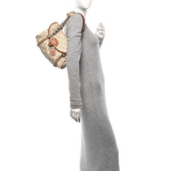 CHRISTIAN DIOR Monogram Romantique Trotter Flap Bag
