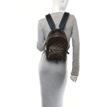 LOUIS VUITTON Monogram Palm Springs Backpack PM