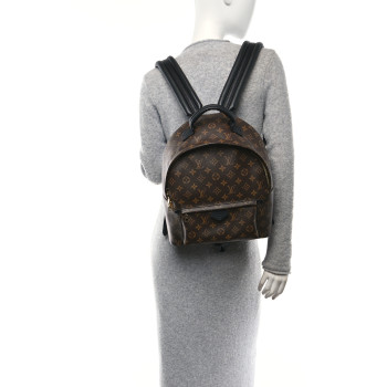 LOUIS VUITTON Monogram Palm Springs Backpack MM