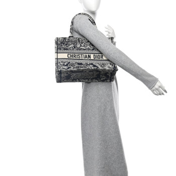 CHRISTIAN DIOR Canvas Embroidered Medium Toile De Jouy Reverse Book Blue
