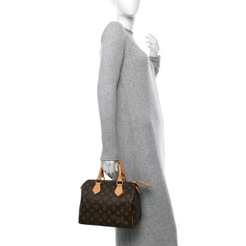 LOUIS VUITTON Monogram Speedy 25