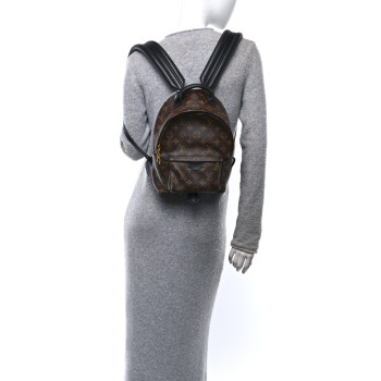 LOUIS VUITTON Monogram Palm Springs Backpack PM
