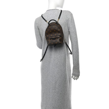LOUIS VUITTON Monogram Palm Springs Backpack Mini