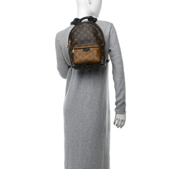 LOUIS VUITTON Reverse Monogram Palm Springs Backpack PM