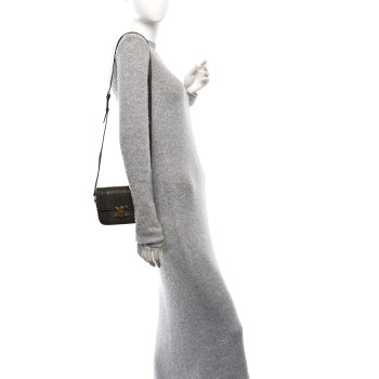 CELINE Watersnake Teen Triomphe Grey