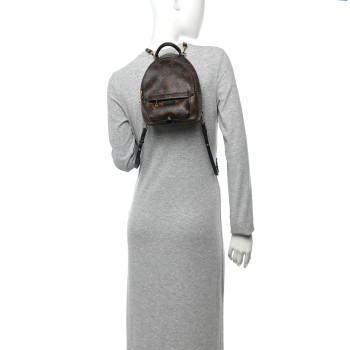 LOUIS VUITTON Monogram Palm Springs Backpack Mini LOUIS VUITTON Monogram Palm Springs Backpack Mini