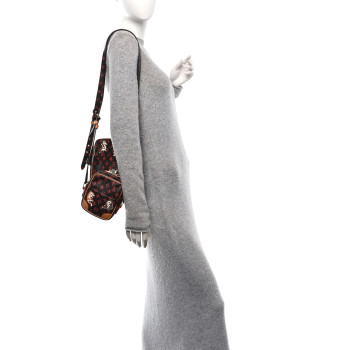 LOUIS VUITTON Catogram Paname Set Marron
