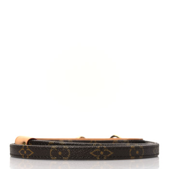 LOUIS VUITTON Monogram Baxter Dog Leash MM
