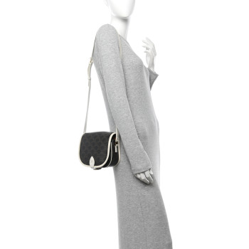 CELINE Triomphe Canvas Medium Folco Bag White