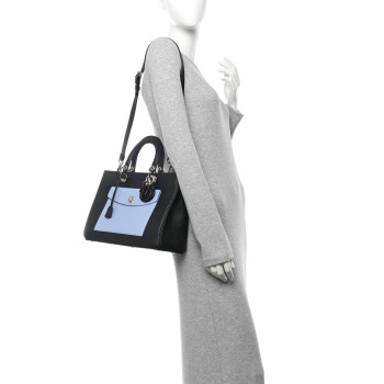 CHRISTIAN DIOR Smooth Calfskin Tri-Color Diorissimo Pocket Tote Black Blue Red