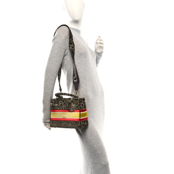 CHRISTIAN DIOR Velvet Mizza Embroidered Medium Lady D-Lite Beige Multicolor