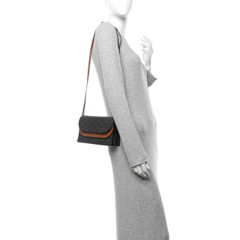CELINE Triomphe Canvas Lambskin Wallet On Strap Tan