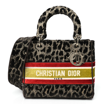 CHRISTIAN DIOR Velvet Mizza Embroidered Medium Lady D-Lite Beige Multicolor