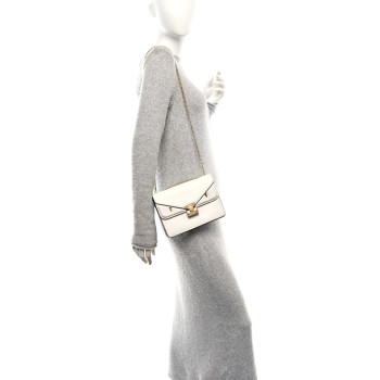FENDI Vitello Vienna Glazed Fabric FF 1974 Monster Eyes Small Bag Bug Chain Bag Ice Tobacco Moro