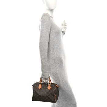 LOUIS VUITTON Monogram Speedy 25