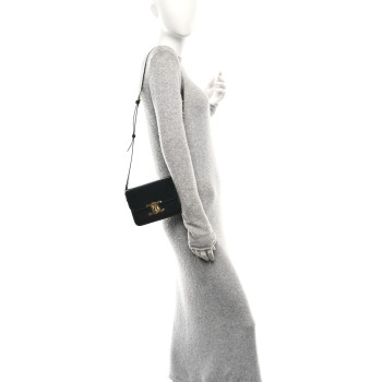 CELINE Shiny Calfskin Teen Triomphe Black