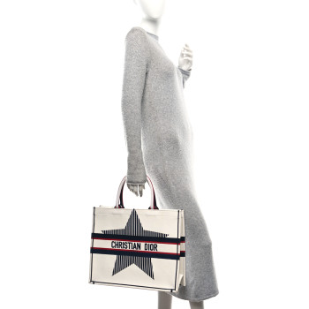 CHRISTIAN DIOR Canvas Embroidered Large Dioralps Book Tote White