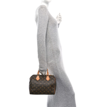 LOUIS VUITTON Monogram Speedy 25