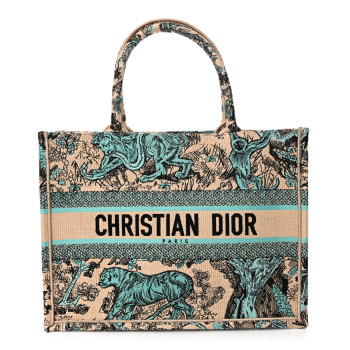 CHRISTIAN DIOR Raffia Embroidered Dioriviera Medium Book Tote Aquamarina