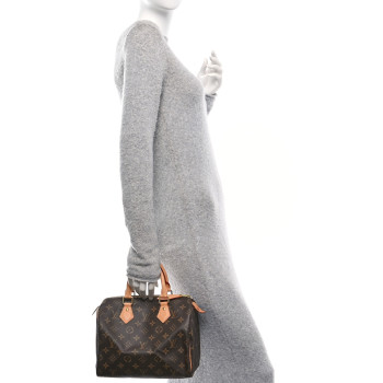 LOUIS VUITTON Monogram Speedy 25