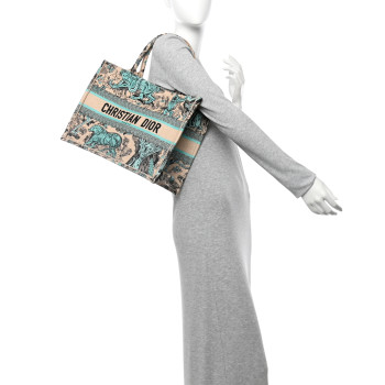 CHRISTIAN DIOR Raffia Embroidered Dioriviera Medium Book Tote Aquamarina