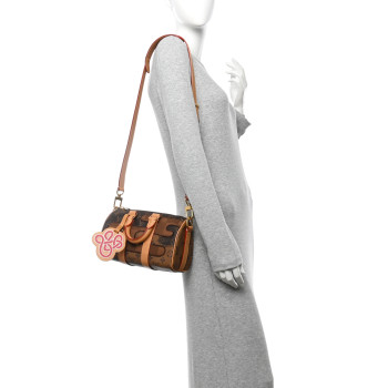 LOUIS VUITTON Monogram Landscape Keepall Bandouliere 25
