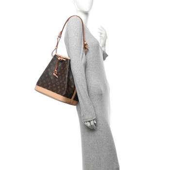 LOUIS VUITTON Monogram Petit Noe NM