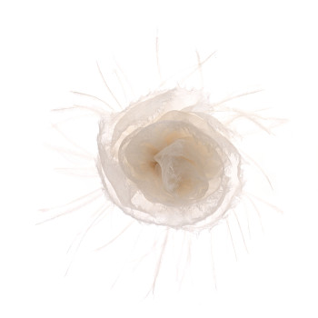 CHANEL Silk Ostrich Feather Camellia Brooch White