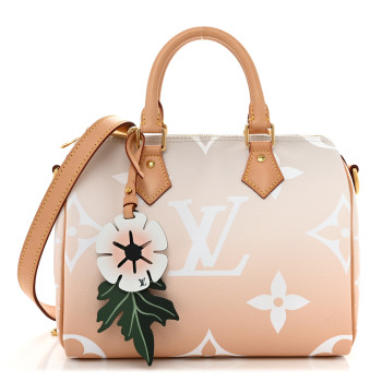 LOUIS VUITTON Monogram Giant By The Pool Speedy Bandouliere 25 Brume